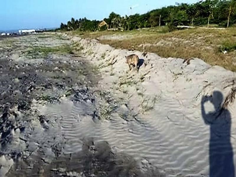 Manzanillo Beach Cartagena Kültér fotó